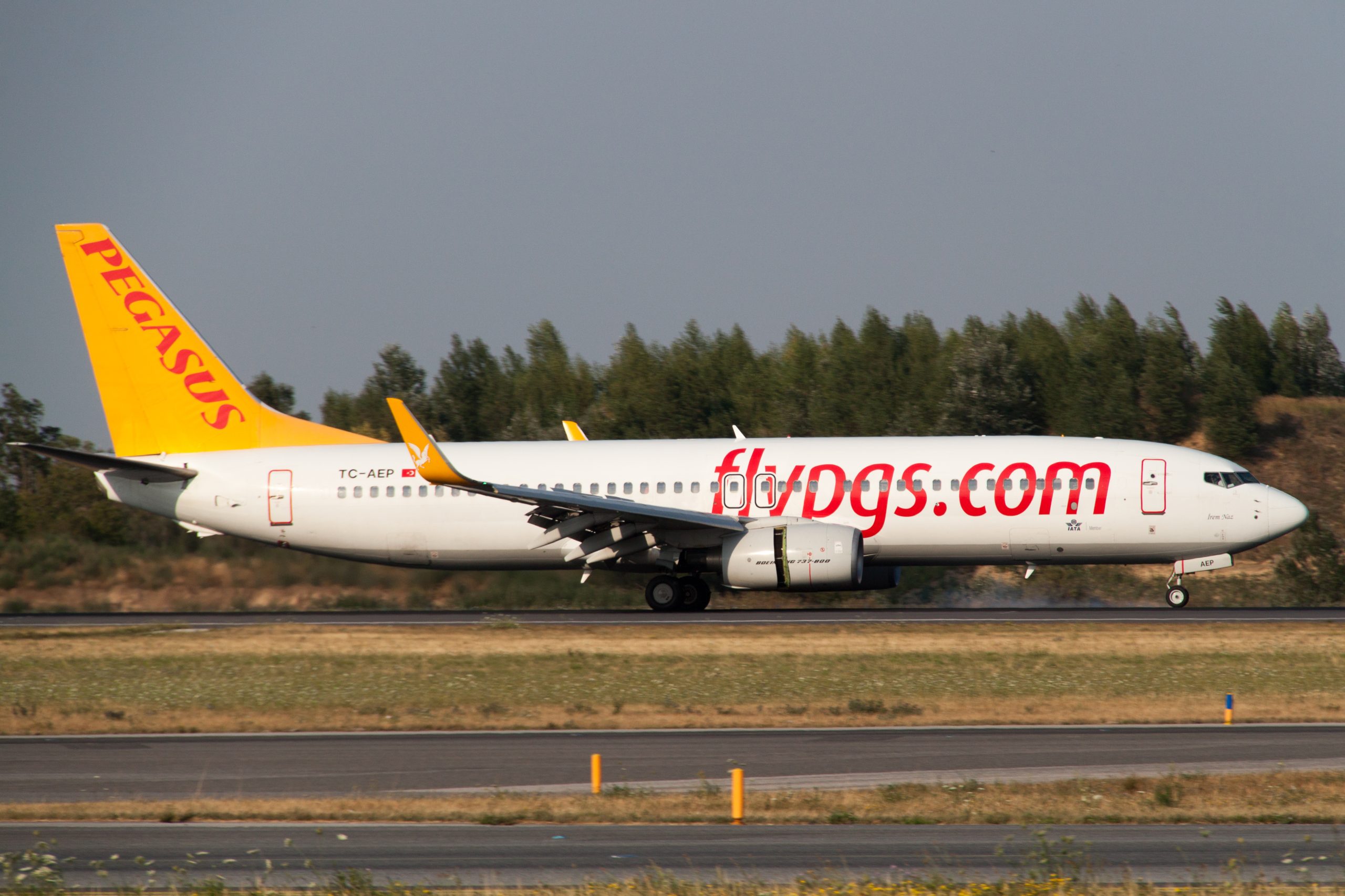 Pegasus Airlines Pegasus Airlines