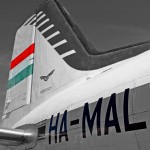 IMG_1957_HAMAL_X3_filtered