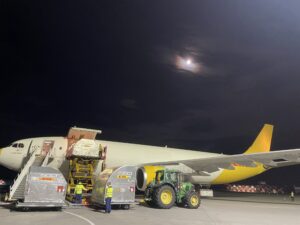 Airbus A300 EI-LDG
