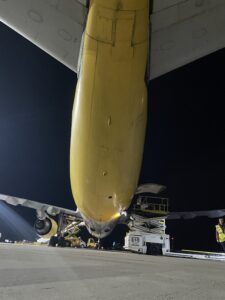 Airbus A300 EI-LDG